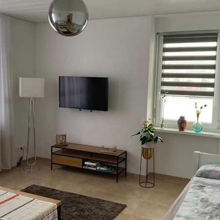 Grenznahe Ferienwohnung Mit 4 Schlafzimmern Grenzach-Wyhlen Luaran gambar