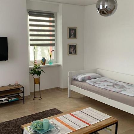 Grenznahe Ferienwohnung Mit 4 Schlafzimmern Grenzach-Wyhlen Luaran gambar