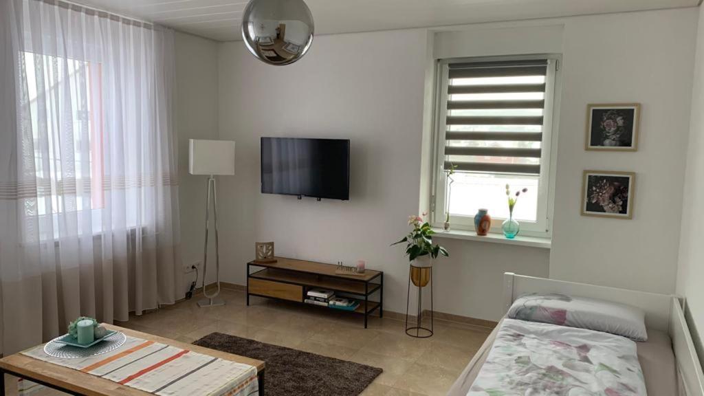 Grenznahe Ferienwohnung Mit 4 Schlafzimmern Grenzach-Wyhlen Luaran gambar