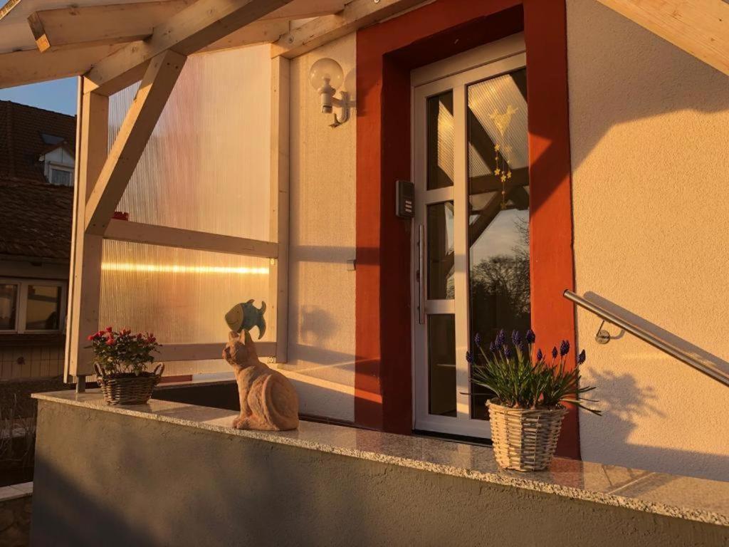 Grenznahe Ferienwohnung Mit 4 Schlafzimmern Grenzach-Wyhlen Luaran gambar