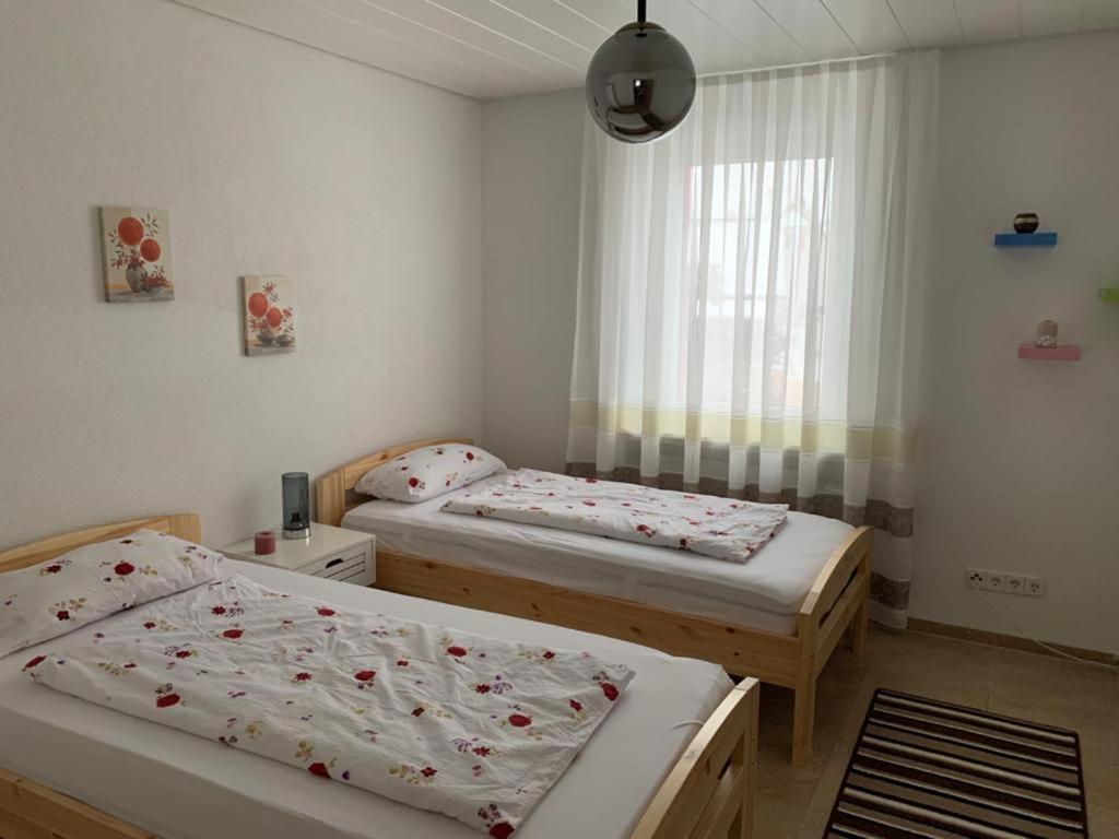 Grenznahe Ferienwohnung Mit 4 Schlafzimmern Grenzach-Wyhlen Luaran gambar