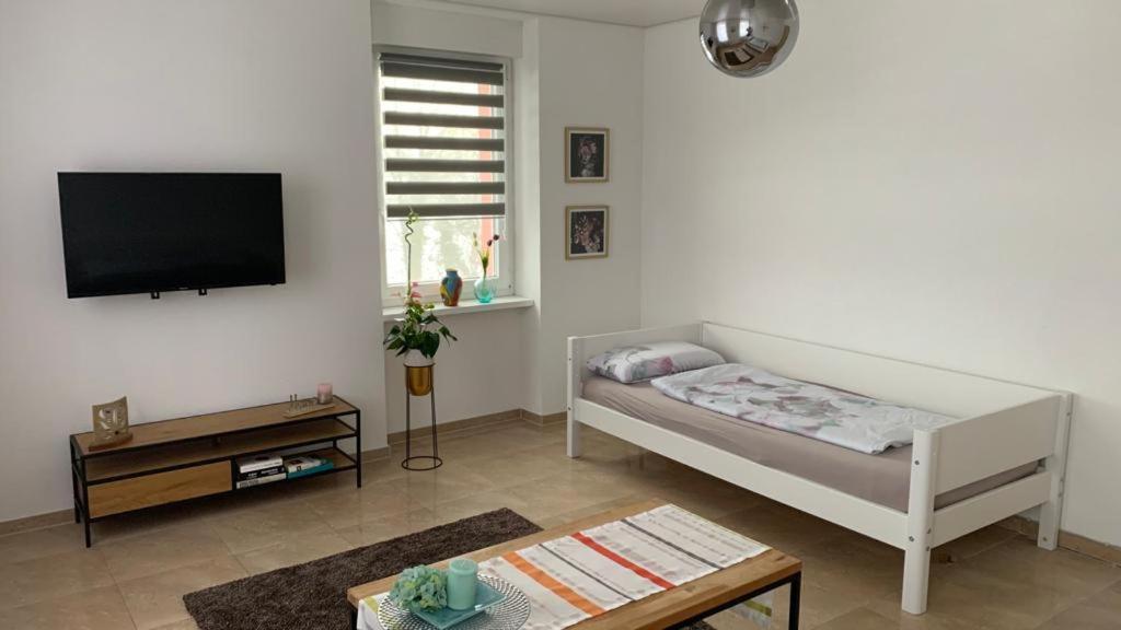 Grenznahe Ferienwohnung Mit 4 Schlafzimmern Grenzach-Wyhlen Luaran gambar